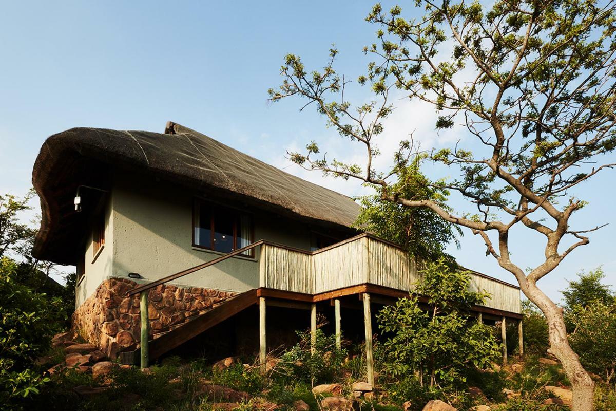 Mhondoro Safari Lodge & Villa 威尔吉旺登禁猎区 外观 照片